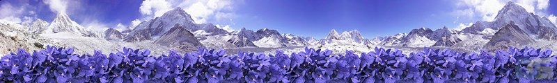 ArtSkinali1207.jpg