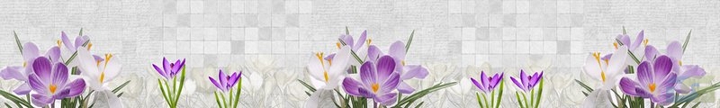 ArtSkinali1227.jpg