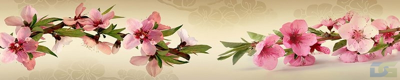 ArtSkinali1280.jpg