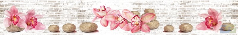 ArtSkinali1286.jpg