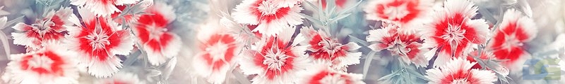ArtSkinali1318.jpg