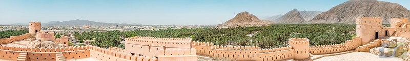 ArtSkinali1321.jpg