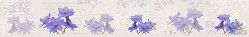ArtSkinali1460.jpg