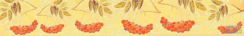 ArtSkinali1508.jpg