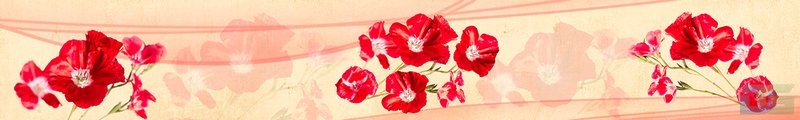 ArtSkinali1966.jpg