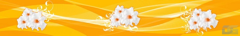 ArtSkinali2442.jpg