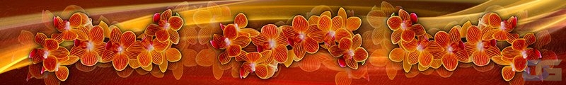 ArtSkinali2481.jpg