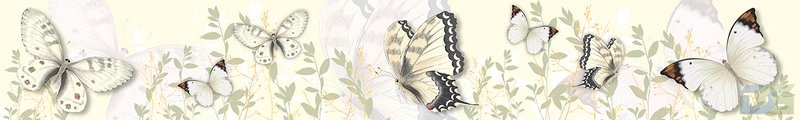 ArtSkinali2484.jpg