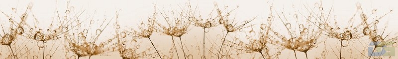 ArtSkinali2509.jpg