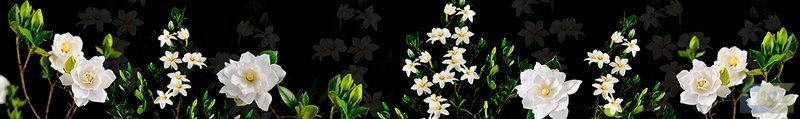 ArtSkinali3194.jpg
