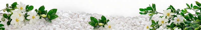 ArtSkinali3221.jpg