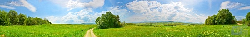 ArtSkinali3232.jpg