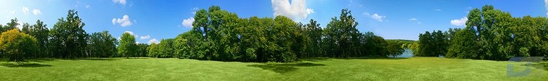 ArtSkinali3234.jpg