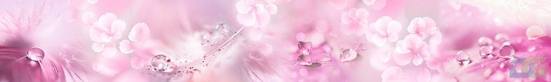 ArtSkinali3322.jpg