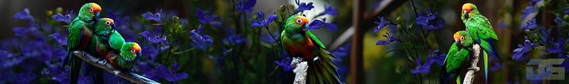 ArtSkinali3354.jpg