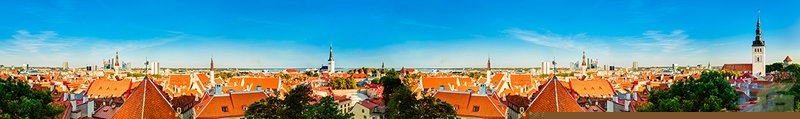 ArtSkinali3574.jpg