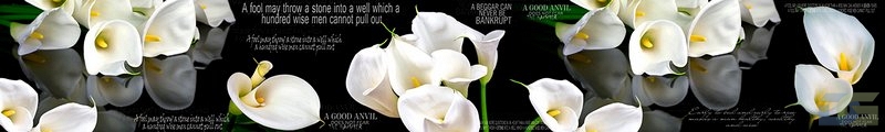 ArtSkinali359.jpg