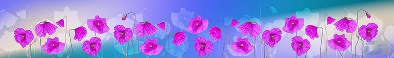 ArtSkinali3600.jpg