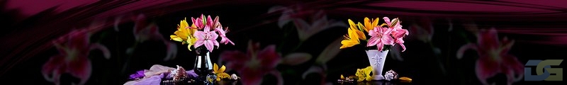 ArtSkinali979.jpg