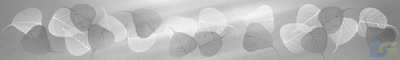 ArtSkinali980.jpg