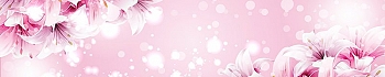 ArtSkinali1004.jpg