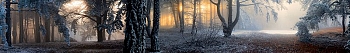 ArtSkinali1038.jpg