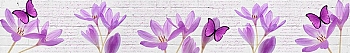 ArtSkinali1052.jpg