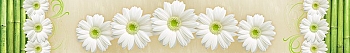 ArtSkinali1059.jpg