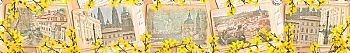 ArtSkinali1070.jpg