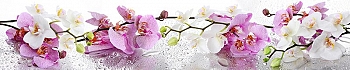 ArtSkinali1086.jpg