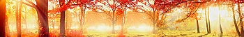 ArtSkinali1104.jpg