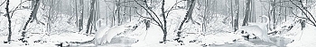 ArtSkinali1162.jpg