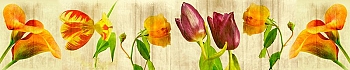 ArtSkinali117.jpg