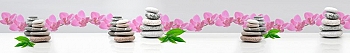 ArtSkinali1181.jpg