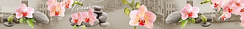 ArtSkinali1182.jpg