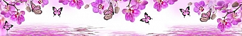 ArtSkinali1195.jpg