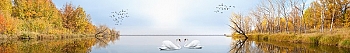 ArtSkinali1200.jpg