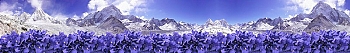 ArtSkinali1207.jpg