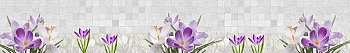 ArtSkinali1227.jpg