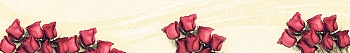 ArtSkinali1242.jpg