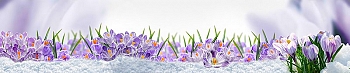 ArtSkinali1278.jpg
