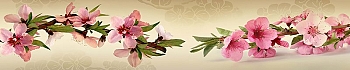 ArtSkinali1280.jpg