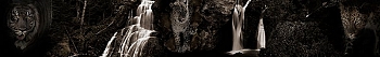 ArtSkinali1311.jpg