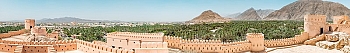 ArtSkinali1321.jpg