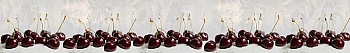 ArtSkinali1376.jpg
