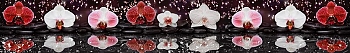 ArtSkinali1411.jpg