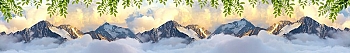 ArtSkinali1451.jpg
