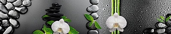 ArtSkinali161.jpg
