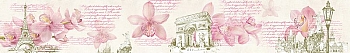 ArtSkinali1647.jpg