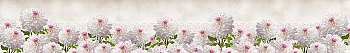 ArtSkinali1667.jpg